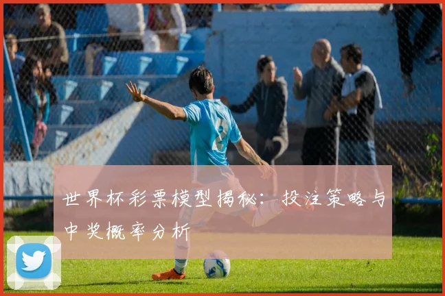 世界杯彩票模型揭秘：投注策略与中奖概率分析