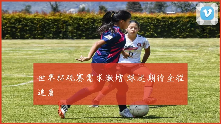 世界杯观赛需求激增 球迷期待全程追看