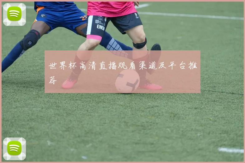 世界杯高清直播观看渠道及平台推荐