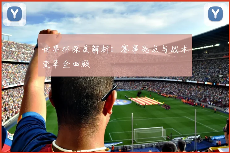 世界杯深度解析：赛事亮点与战术变革全回顾