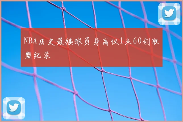 NBA历史最矮球员身高仅1米60创联盟纪录