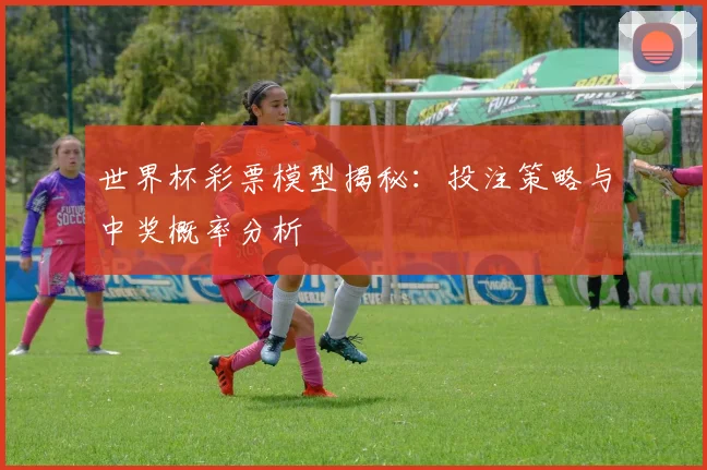 世界杯彩票模型揭秘：投注策略与中奖概率分析