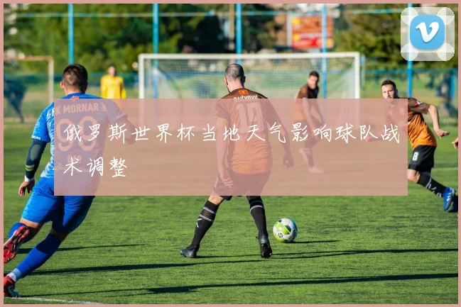 俄罗斯世界杯当地天气影响球队战术调整